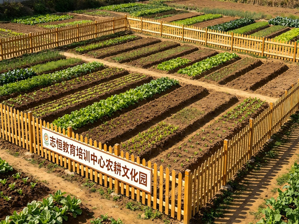 毕节全封闭叛逆小孩改变学校选择指南:科学管教与成长重塑的实践路径